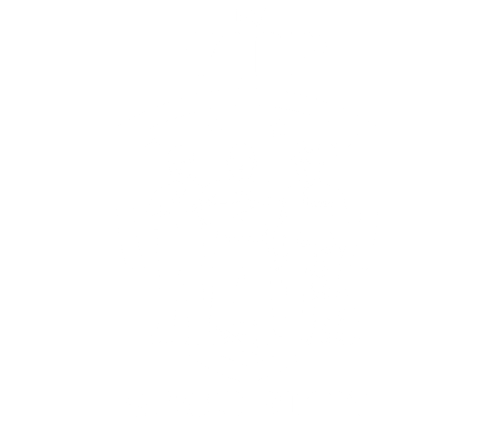 VIP Security Logo